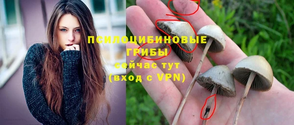 мескалин Арсеньев
